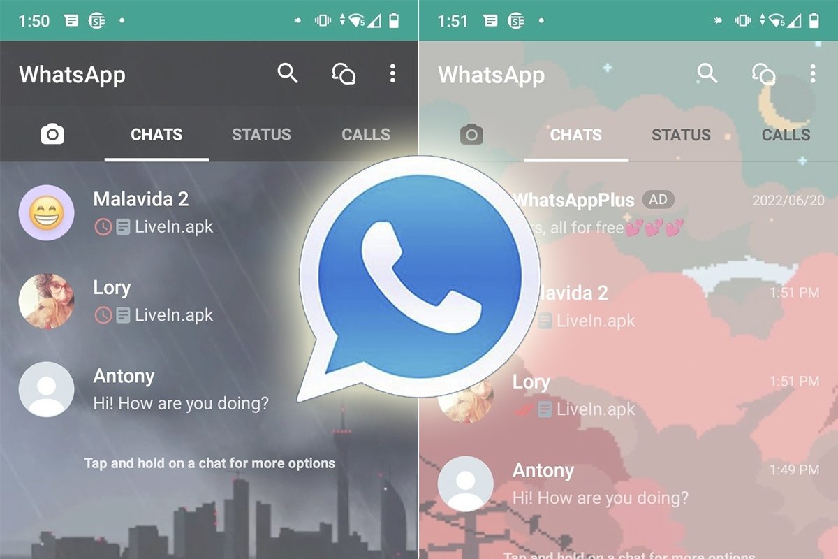 How to classify users on WhatsApp